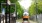 Orange Line